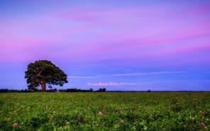 ������ ��������� �������