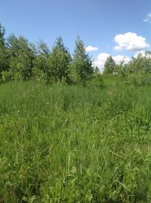 ������ �������.