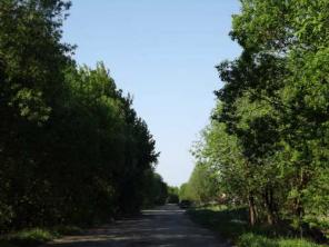 ������� 10-20 ���., ��, ������������� �-�, �������