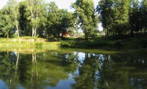 ������ ������� 8 ����� � �� ������� club