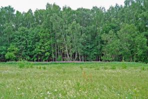 ������ ������� 8 ����� � �� ������� club