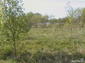 ������ �������