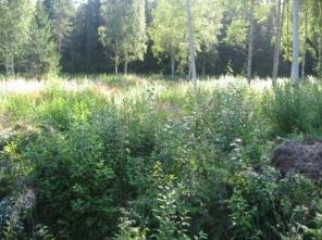 �����������, ����������� �������-1