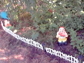 �po��� y�ac���