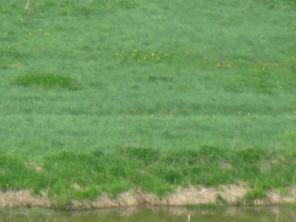 �������  ���  ���������.