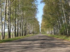 �������  �  �������  ������  �������.