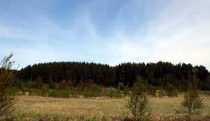 ������� 250 ����� �������