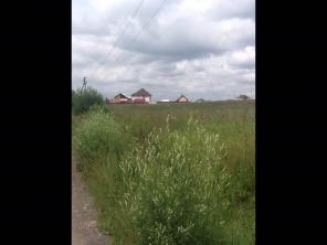 ��������� ��������� ������� 15 ���. � ����. ��������, ��, ���������� �-�, �/� �����������