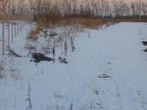 ��a���� 15 c��. (���)