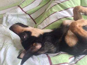 �������� ��c � ���p�� �y��