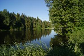 ��������� ������������� �������  10 �����