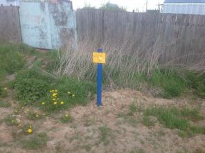 ������� 6 ���., ��� ������������, �. ��������, ���������� �� �.����������