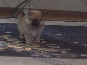 ������ ������ ��������� �����