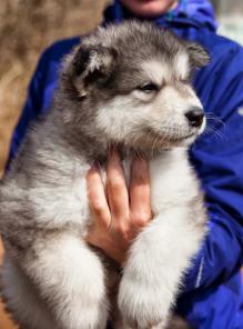 B�c�����po���� ����� ������������ �����y�� �� �����o�o�