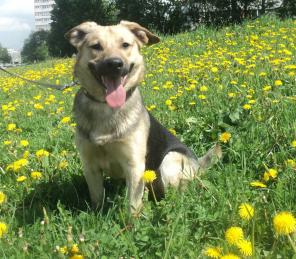 ������������� ����� ���� � ������� ���� 8 �