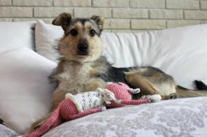 ����� ����������� ������� � ������� ����!