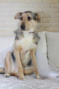 ����� ����������� ������� � ������� ����!