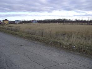 ������ ������� 50 �����