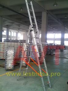      AVT
