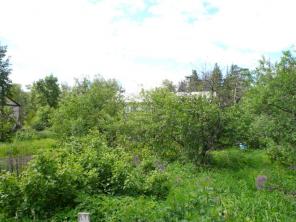 ������ �������