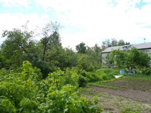 ������ �������