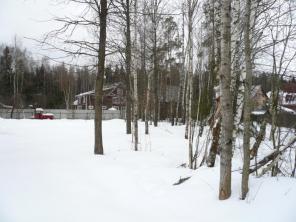 ������ ������� �� ��������� �. 14 �� �� ���� �. ����������. ������� ������� 20 ����� (���). ������� ������. ��������� � ���������� ���������. ���, ������������� �� ������� �������. ����� ������ ������, ����� ������. ������� ���������� ����. ������� ������