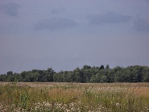 ��� �� ������� �� ������������ �����.