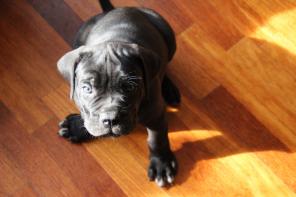 ��������� ����� ���� �����