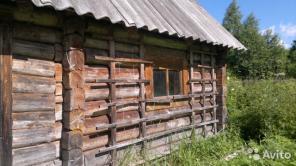 ������ ������� 50 ���. (���)