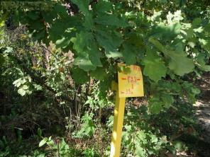 ������� 6 ���.,��� ������������ �. ����������, ���. ����� ������