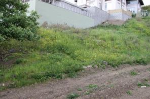 ��������� ��������� ������� ��������� �. ���� 5 ���.