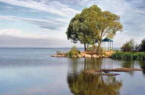 ��������� ���. ������� 44 ���. � ���������� ����� - �� ������ ������ �����, � ���������� �������� ����, � 600 �. �� �������� ��., ����������� ���., ������������ �-�, �. ����������, 130 ��. �� ���� �� ������������ �.