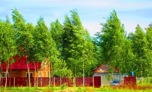 ������ ������� 14 ����� � �������-��������� �-��, �� ����� �����.