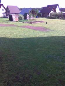 ������� 12 ����� (���), ������, 10 ��� ����������� ��� �����.