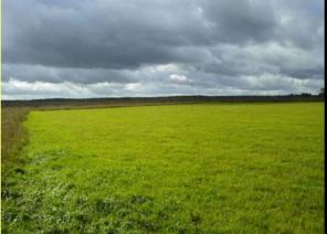 ���������  �����  ��� �� ����������.