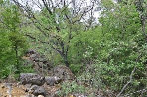 ��������� ��������� ������� ������, ���� 2 ���