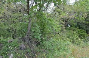 ��������� ��������� ������� ������, ���� 2 ���