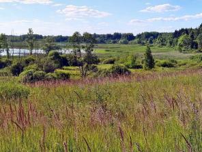 ������� � ������������� �-�� 9 �����, 320000�, �� ����� ���� ����