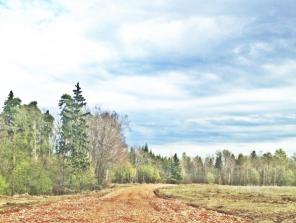 ������� � ��������������� �-�� 13 �����, 600000�, �� ������� ���