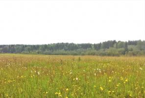 ������� � �������� �-�� 8 �����, 450000�, �� ���������