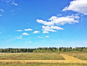 ������� � ���������� �-�� 9 �����, 700000�, �� ������� ����