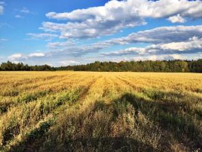 ������� � ��������-��������� �-�� 8 �����, 350000�, �� ������� ��������