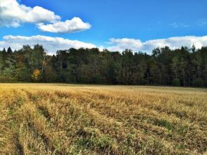 ������� � ��������-��������� �-�� 9 �����, 410000�, �� ������� ��������