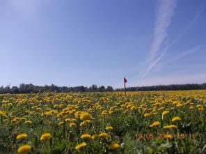 ����� ���.������� 42 ���. � �������������� 15��� �� ���� ��� (�������) ��� ��������� L200