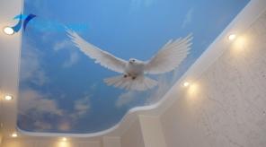 �������� �������