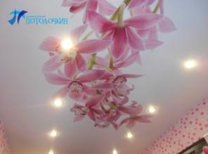 �������� �������