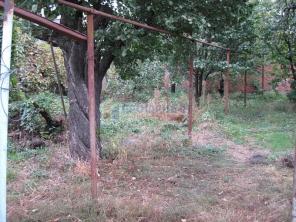 ��������� ������� � ������ ���������� �� ������ ����