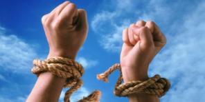 �������������