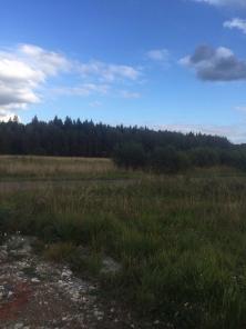 �������. ���. ������. ��������. �� ������.