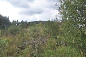 ������� ����� ������. �� ������.